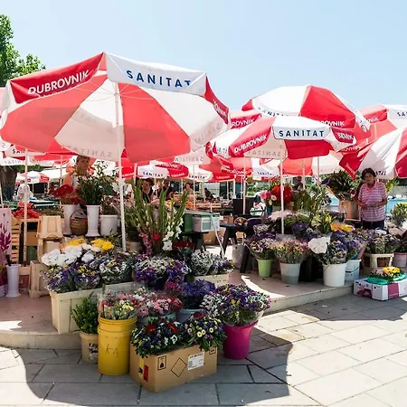 Apartman Gravosa
